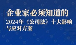 公司法视频,企业治理与法律框架全览