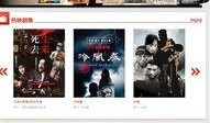 89视频,揭秘历史瞬间，重温经典时刻