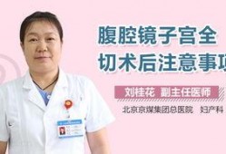 腹腔镜子宫全切术视频,腹腔镜子宫全切术操作步骤与技巧解析